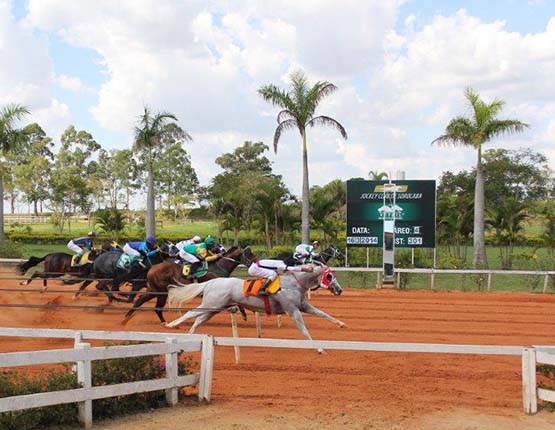 Premiação dos Líderes de Estatística no Jockey Club de Sorocaba