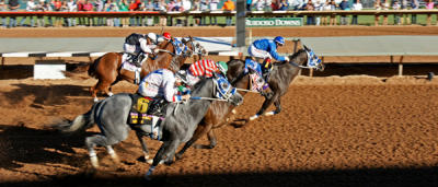 All American Futurity 2014