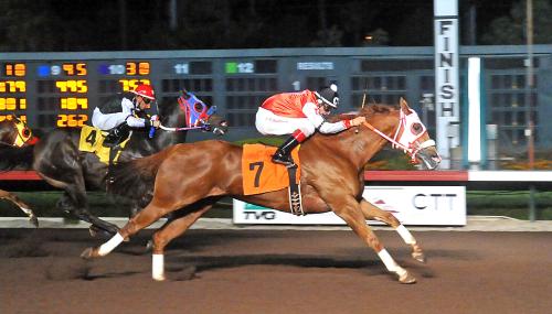 Los Alamitos Invitational - A Toss Up