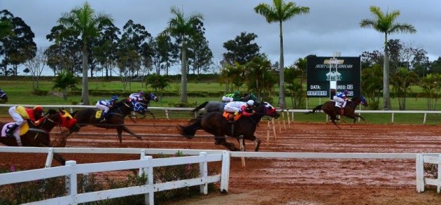 Final do GP ABQM Potro do Futuro 2015