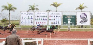 Yankee Verde vencendo o GP Sorocaba Futurity