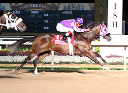 Sr Shanbles Heartland Futurity