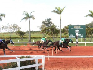 Yankee Verde, Yellow Verde e Yoyo Verde fazem trifeta Vista Verde no GP Jockey Club de Sorocaba - Torneio Início