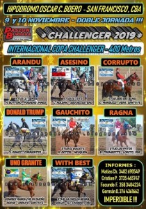 challenger cavalos