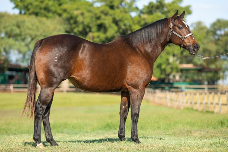 OWNER FINANCED