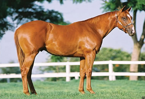 MUSTANG VERDE